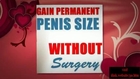Penis Growth Puberty
