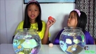 Lil' Fishys Motorised Water Pets Aquarium Playsets - Kids' Toys.mp4