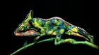 Chameleon - impressive creation - Fine Art Bodypainting by Johannes Stötter