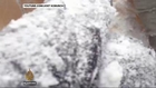 Dramatic footage shows avalanche hitting Everest base camp