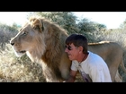 Mane Attraction: Man Cuddles and Kisses Huge Pet Lion