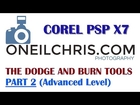 Corel Paintshop Pro X7 | The Dodge & Burn Tool Part 2 (Advanced Level)